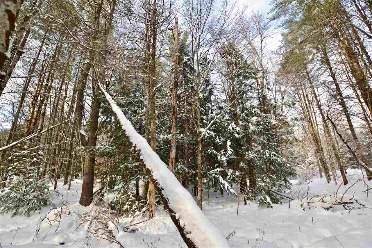 42 Countryside Road Waterbury, VT 05676 - Photo 15 of 16 Gallery Image 15