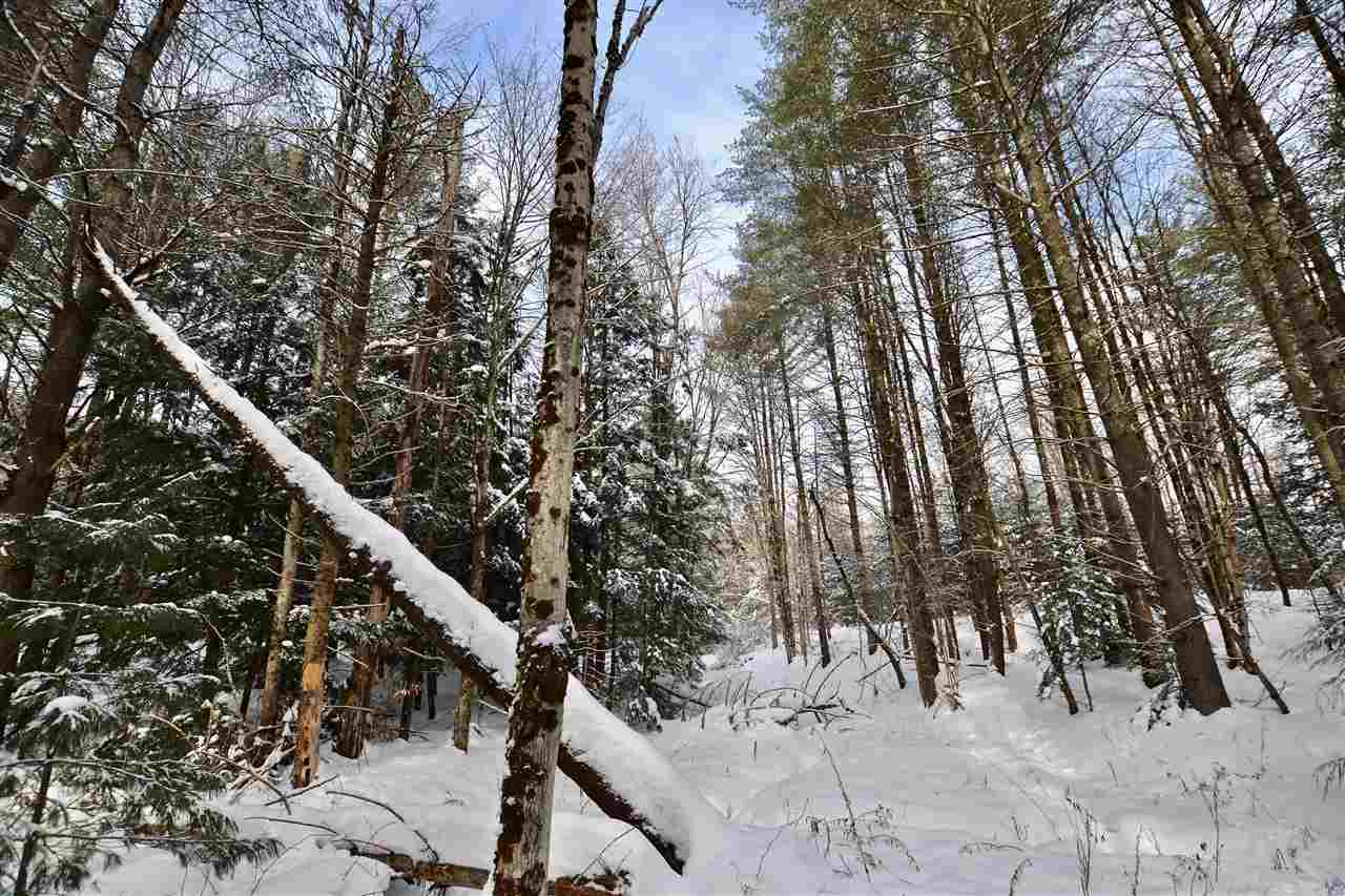 42 Countryside Road Waterbury, VT 05676 - Photo 6 of 16 Gallery Image 6