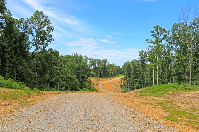 a view of a yard with plants and trees
