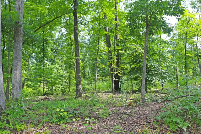 a backyard of a building with lots of green space and garden