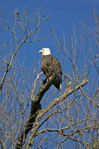a view of a forest with an outdoor space