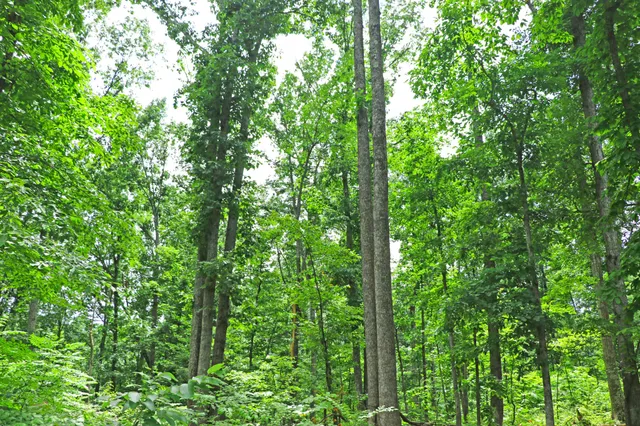 a view of a basketball court