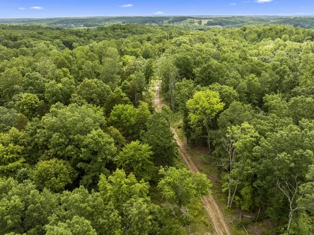 a white bath tub sitting next to a white walls