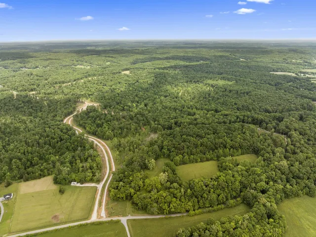 a view of a house with a yard and a large tree