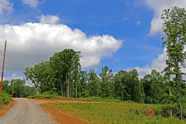 a view of a green field with lots of trees in it