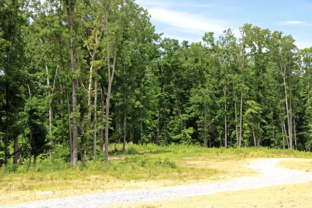 a view of a yard of the house