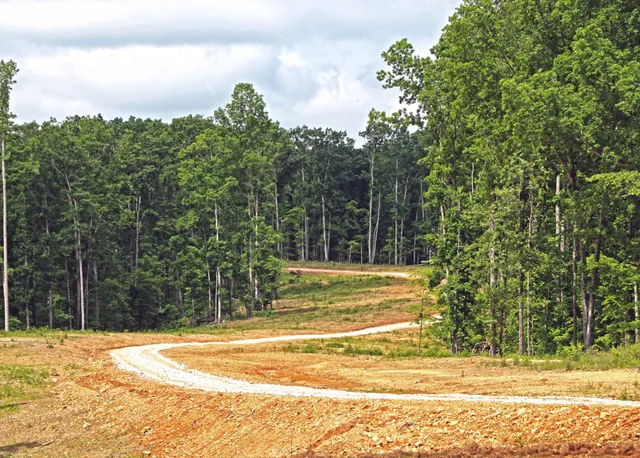 a view of an ocean from a yard