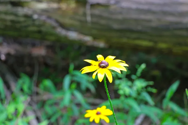 a view of swimming pool