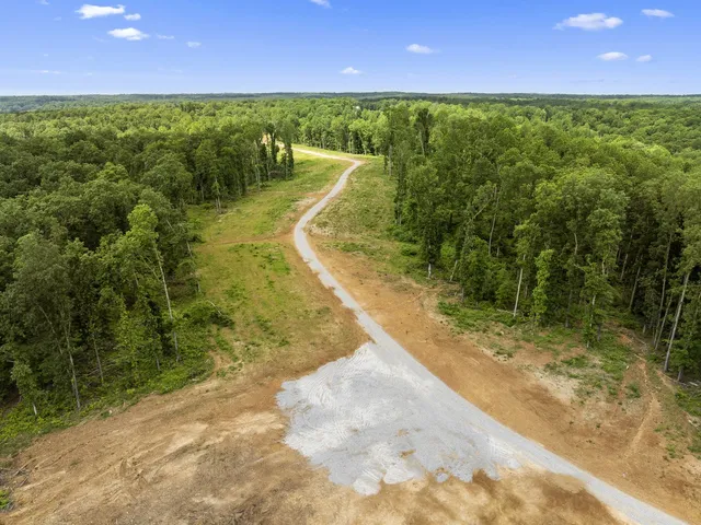 a view of a lush green forest