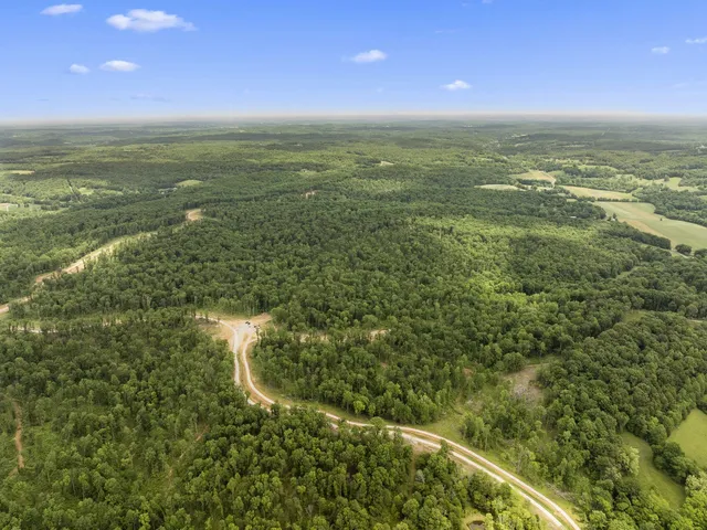 a view of a garden with plants