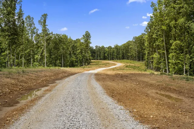 a view of a field with trees in the background