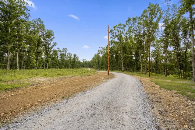 $1,750,000 | 0 Bell Hollow Road, Vanleer, TN 37181