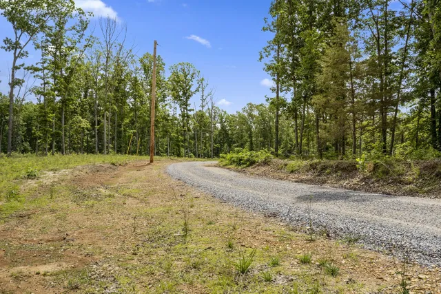 $1,750,000 | 0 Bell Hollow Road, Vanleer, TN 37181