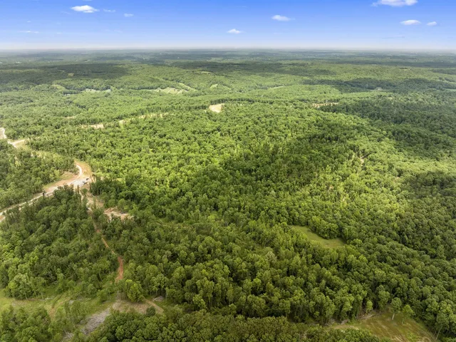 $1,750,000 | 0 Bell Hollow Road, Vanleer, TN 37181