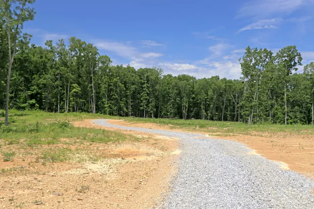 a big yard with lots of green space and trees