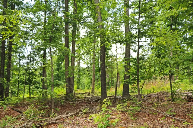 a bathroom with a window