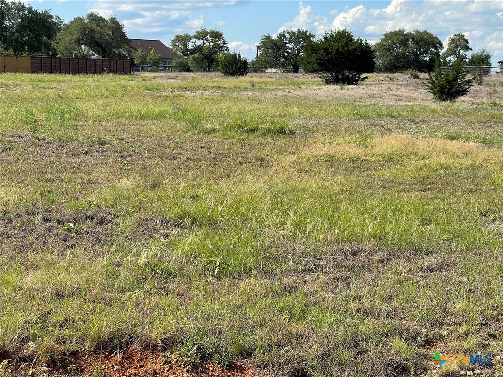 Tbd Joseph Durst Blanco, TX 78606 - Photo 1 of 11 a view of beach and small yard
