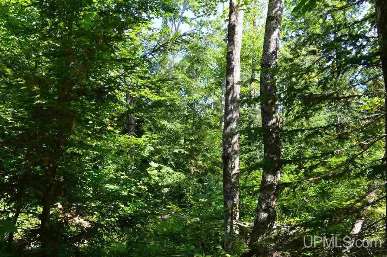 Tbd Lakeview Road Toivola, MI 49965 - Photo 16 of 43 Gallery Image 16