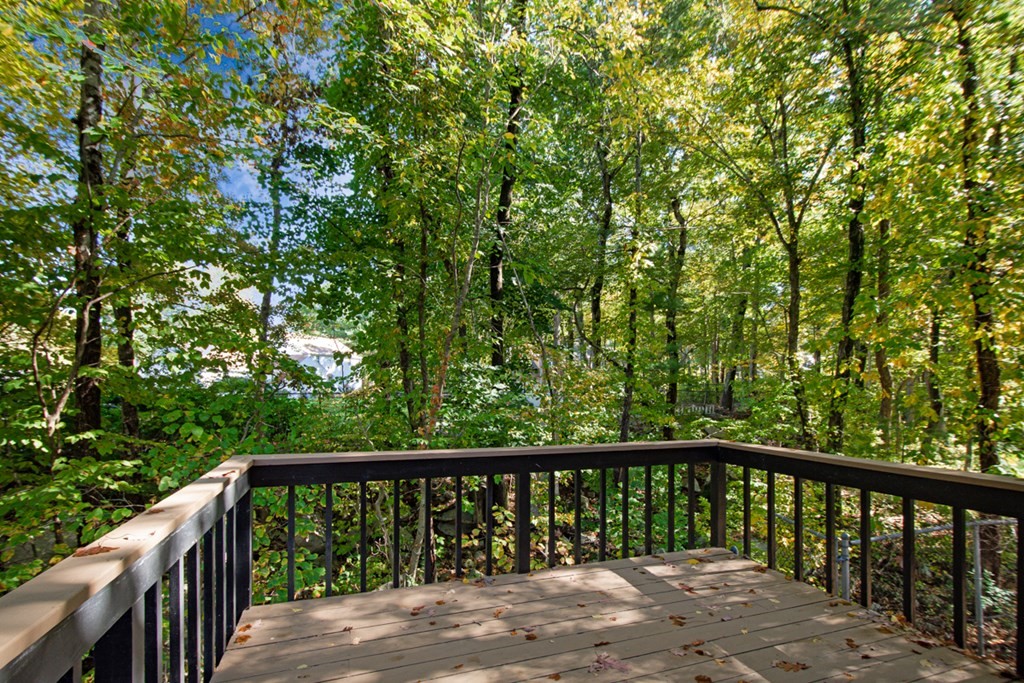 11 Cosma Road Easton, MA 02356 - Photo 34 of 37 Gallery Image 34