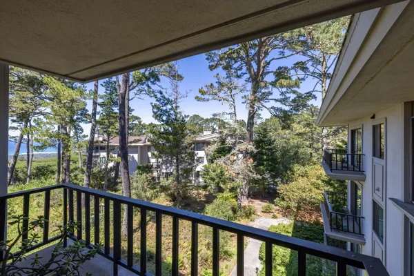 a view of a balcony with plants