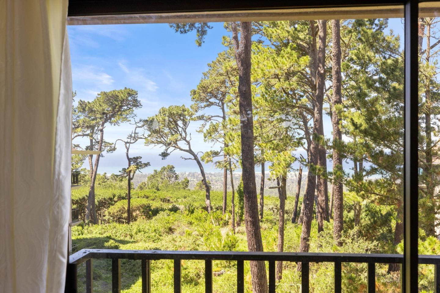 4 Ocean Pines Lane Pebble Beach, CA 93953 - Photo 27 of 49 a view of a garden