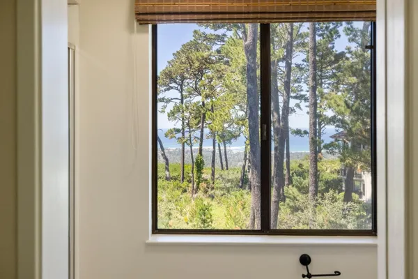 a view of backyard from window