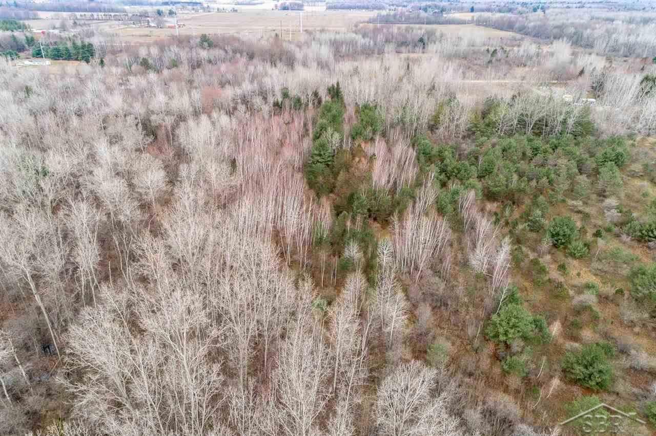 4100 North Geneva Road Coleman, MI 48618 - Photo 61 of 77