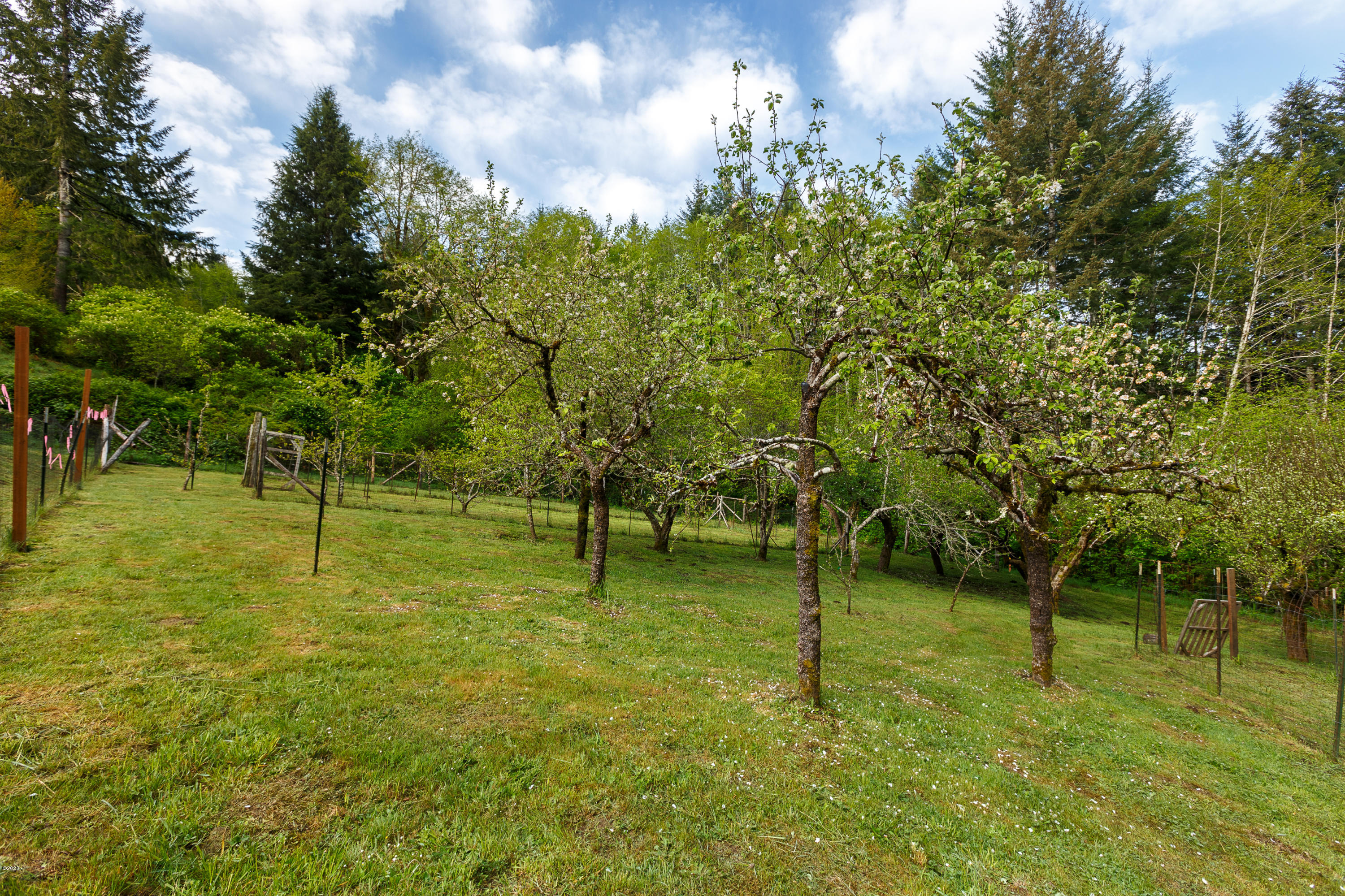1266 North Yachats River Road Yachats, OR 97498 - Photo 65 of 79 The orchards