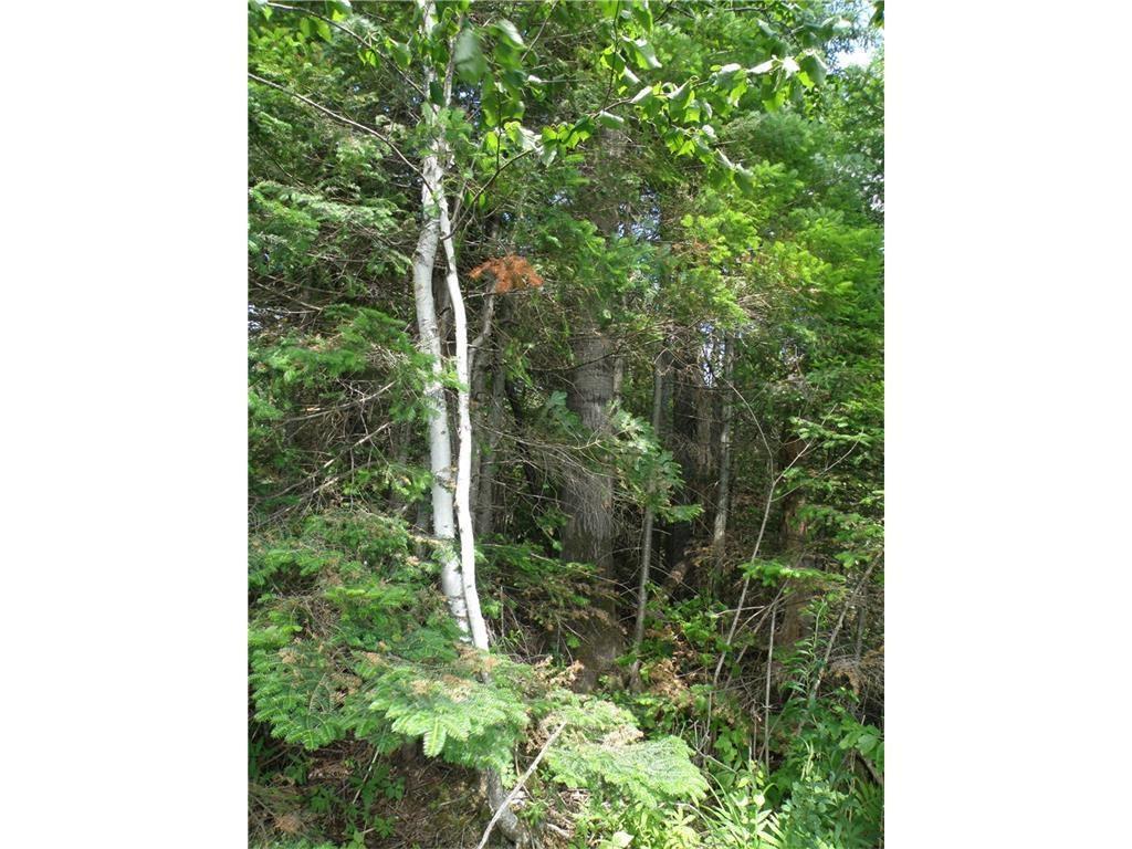 Lot 37 Sinclair Road Sinclair, ME 04779 - Photo 13 of 17 Photo