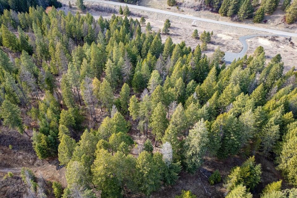 Tbd Addy-Gifford Road Addy, WA 99101 - Photo 11 of 11