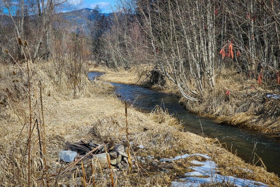 Tbd Addy-Gifford Road Addy, WA 99101 - Photo 8 of 11