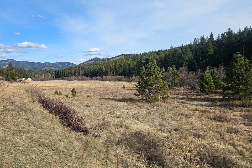 Tbd Addy-Gifford Road Addy, WA 99101 - Photo 9 of 11