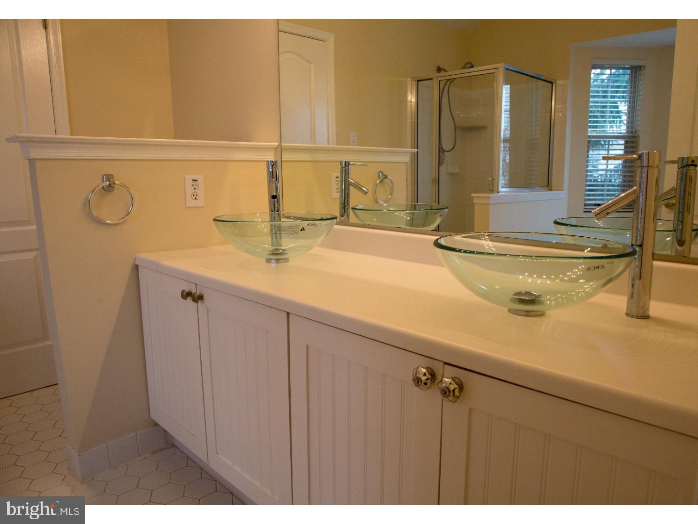 221 Valley Forge Lookout Place Wayne, PA 19087 - Photo 19 of 25 Master Bathroom
