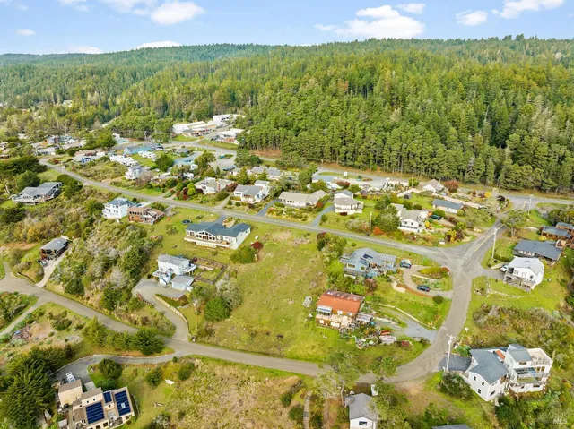 a view of a big yard with swimming pool and green space