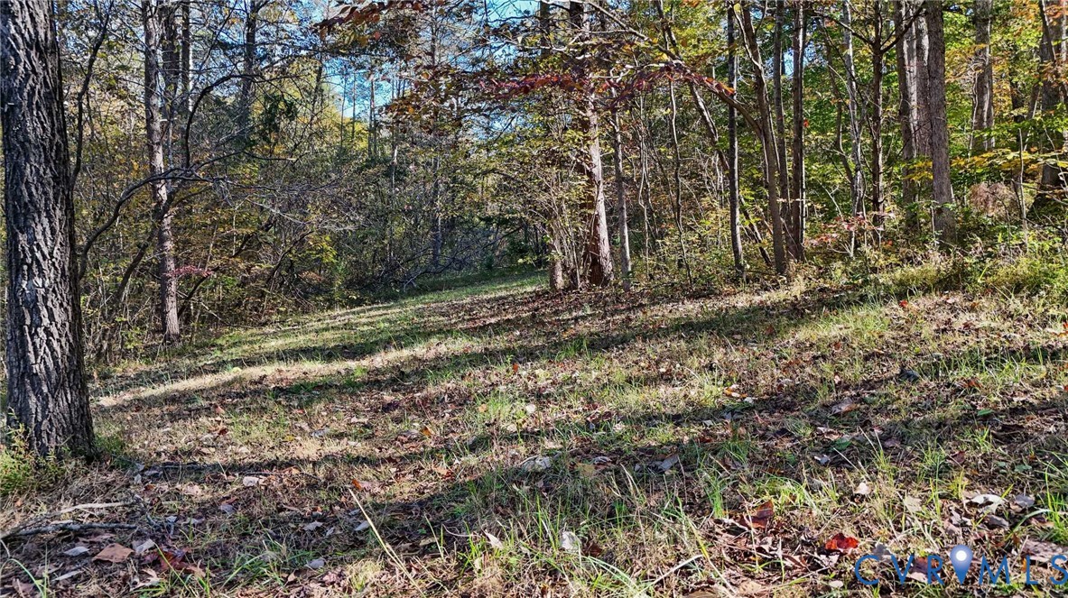 0 Allen Rosen Road Dillwyn, VA 23936 - Photo 17 of 18 Gallery Image 17