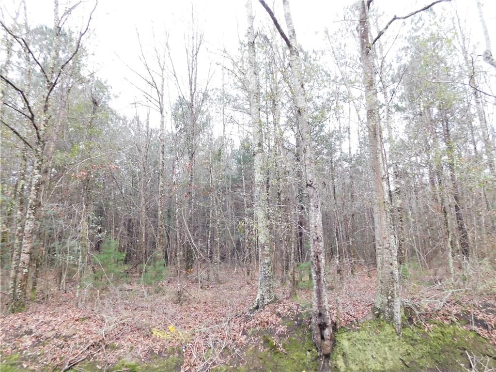 0 Puleston Road Amite, LA 70422 - Photo 4 of 7 Gallery Image 4