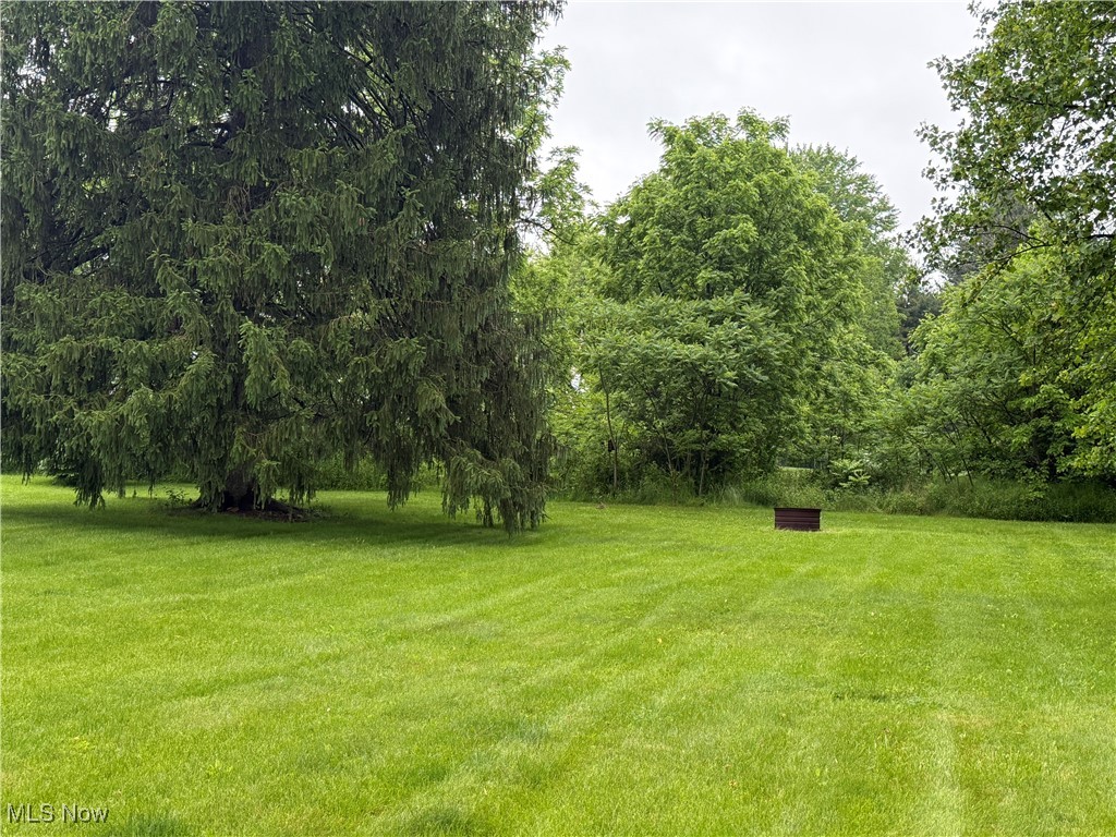 8503 Stanley Road Windham, OH 44288 - Photo 16 of 38 Gallery Image 16