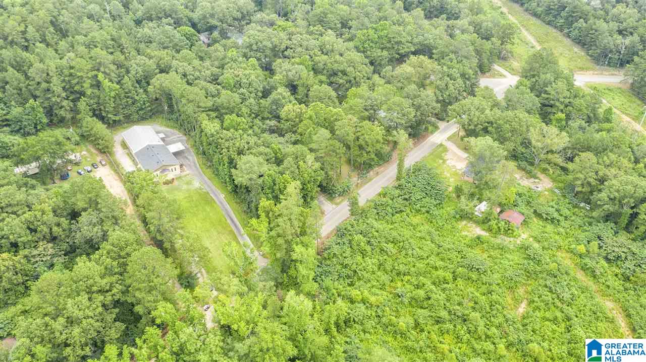 2468 Happy Top Road Morris, AL 35116 - Photo 45 of 46