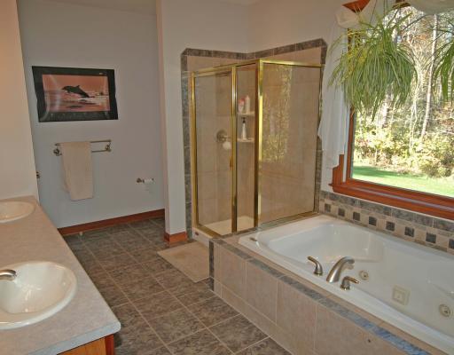 109 Barley Road Bell Acres, PA 15143 - Photo 9 of 18 Master Bath/Spa.