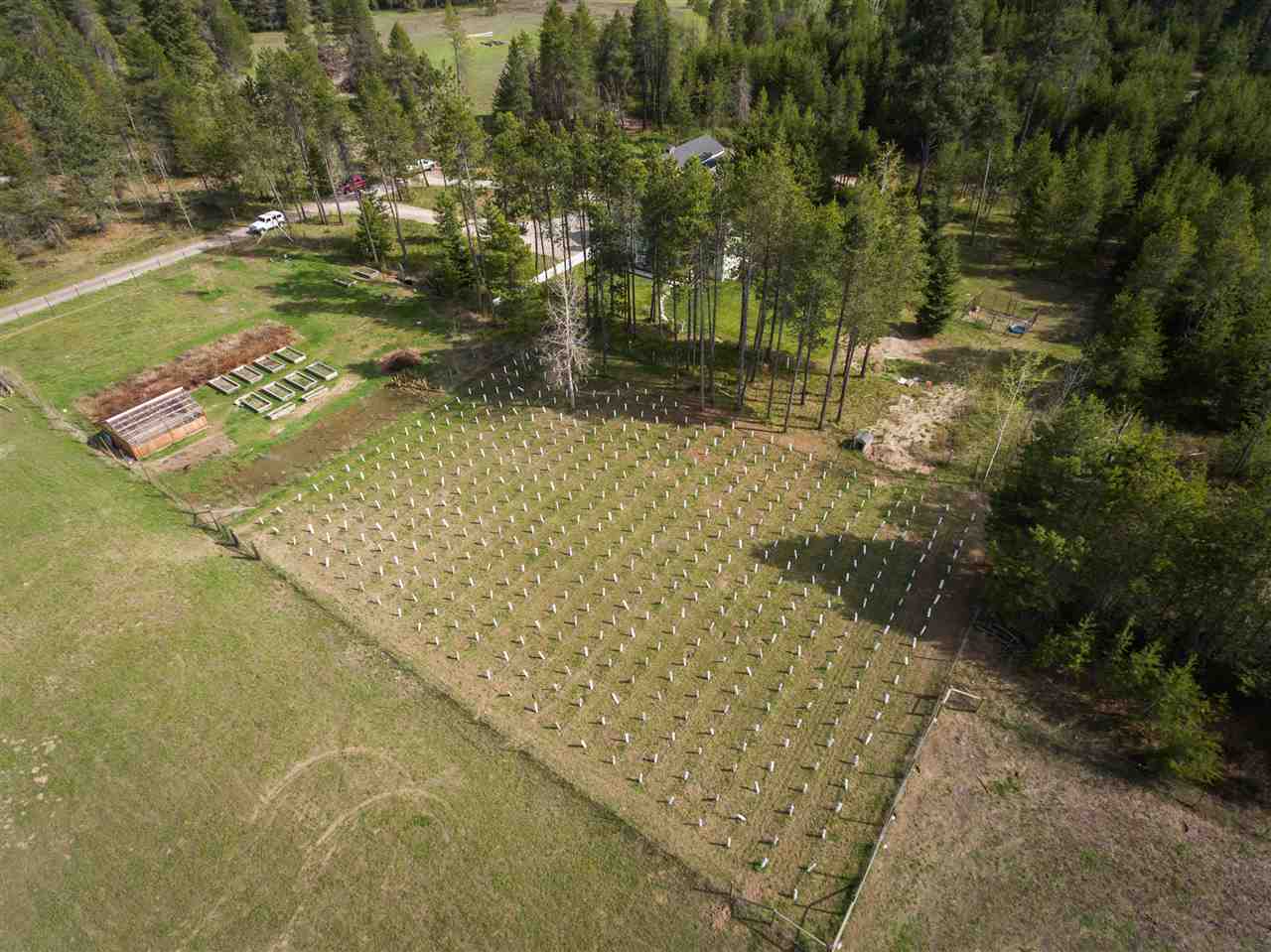 12630 East Nelson Road Elk, WA 99009 - Photo 19 of 20