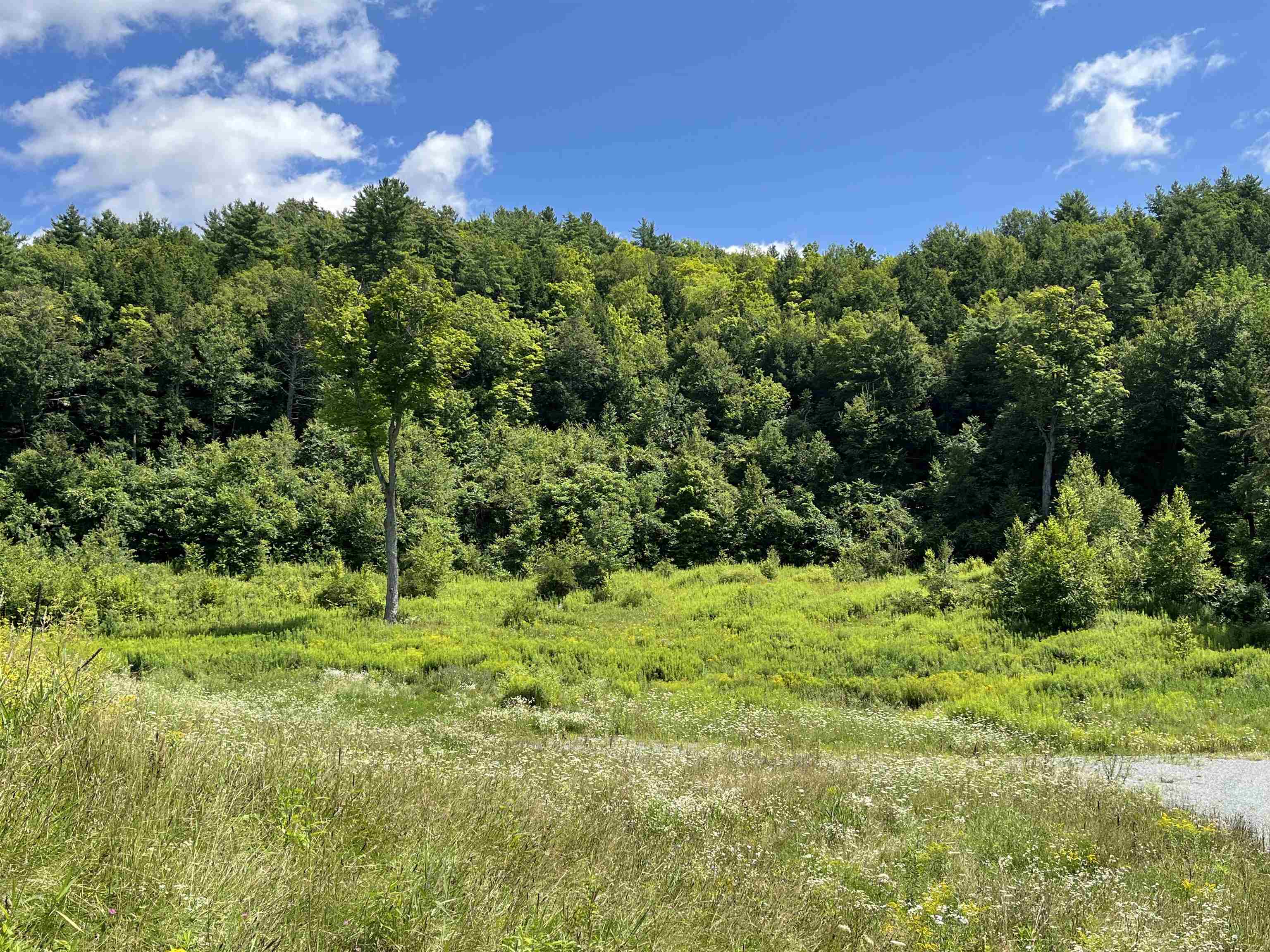 85 Woods Road Hubbardton, VT 05735 - Photo 13 of 36