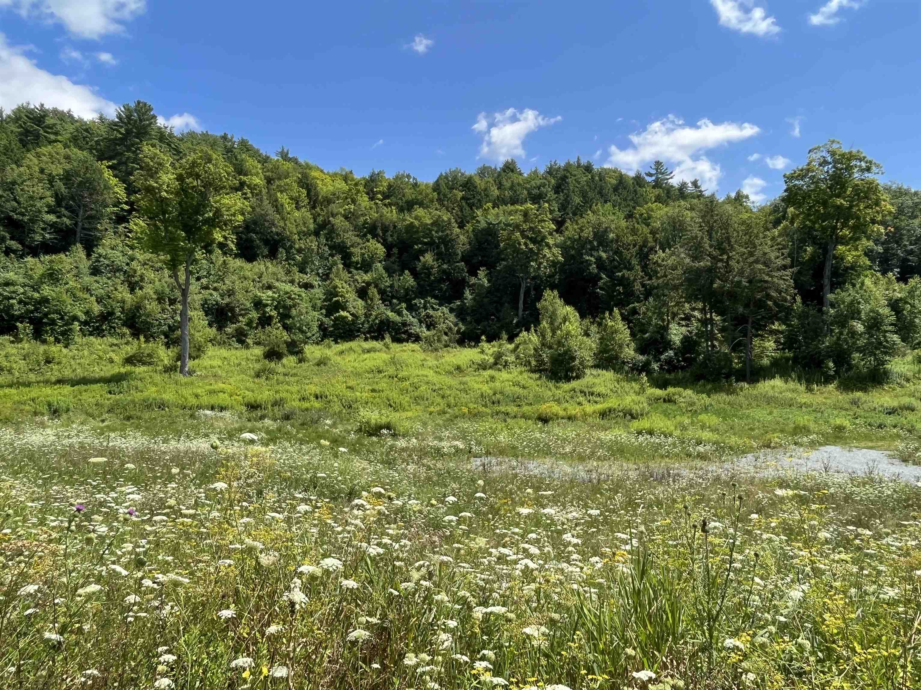 85 Woods Road Hubbardton, VT 05735 - Photo 17 of 36