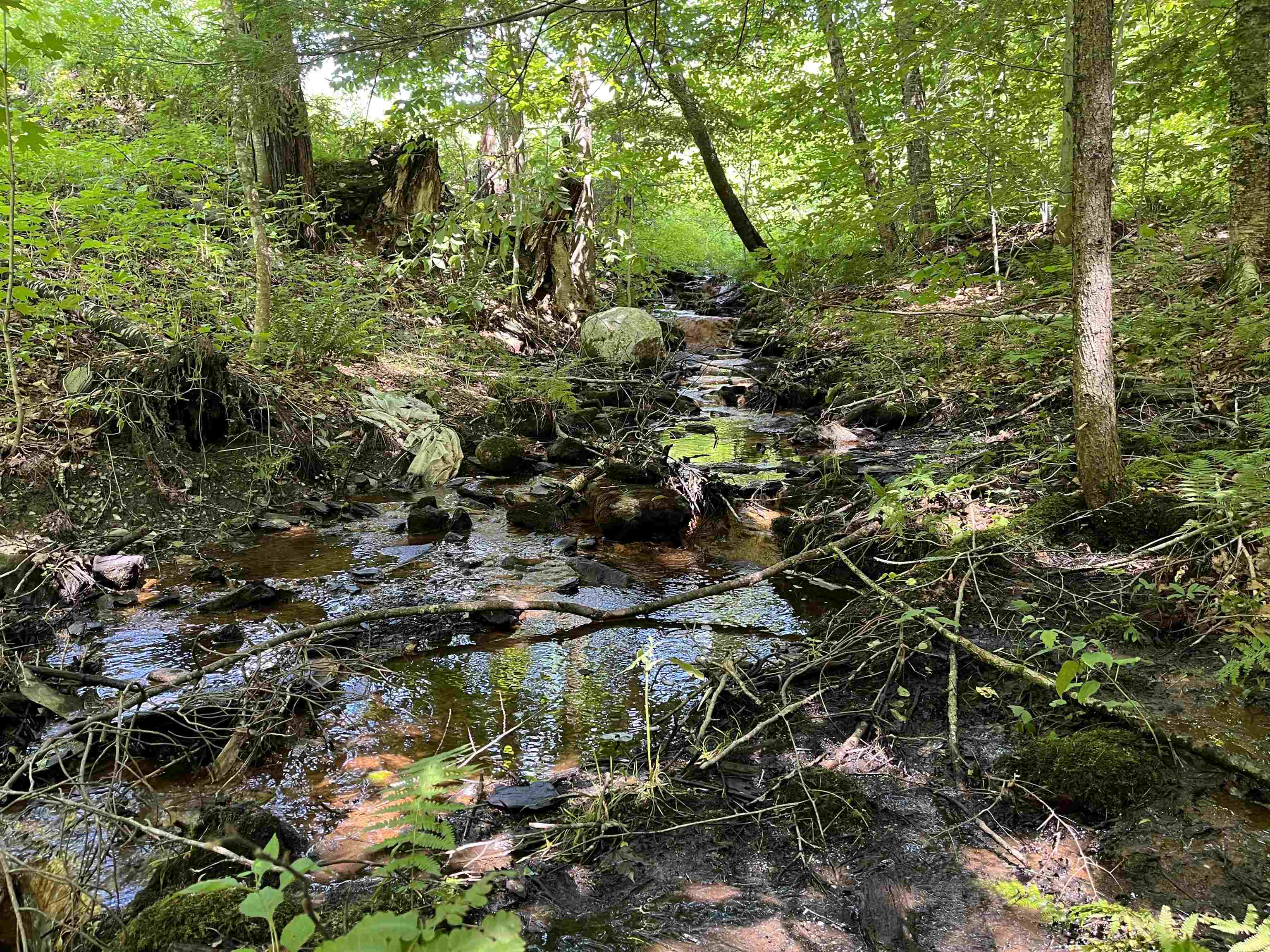 85 Woods Road Hubbardton, VT 05735 - Photo 19 of 36