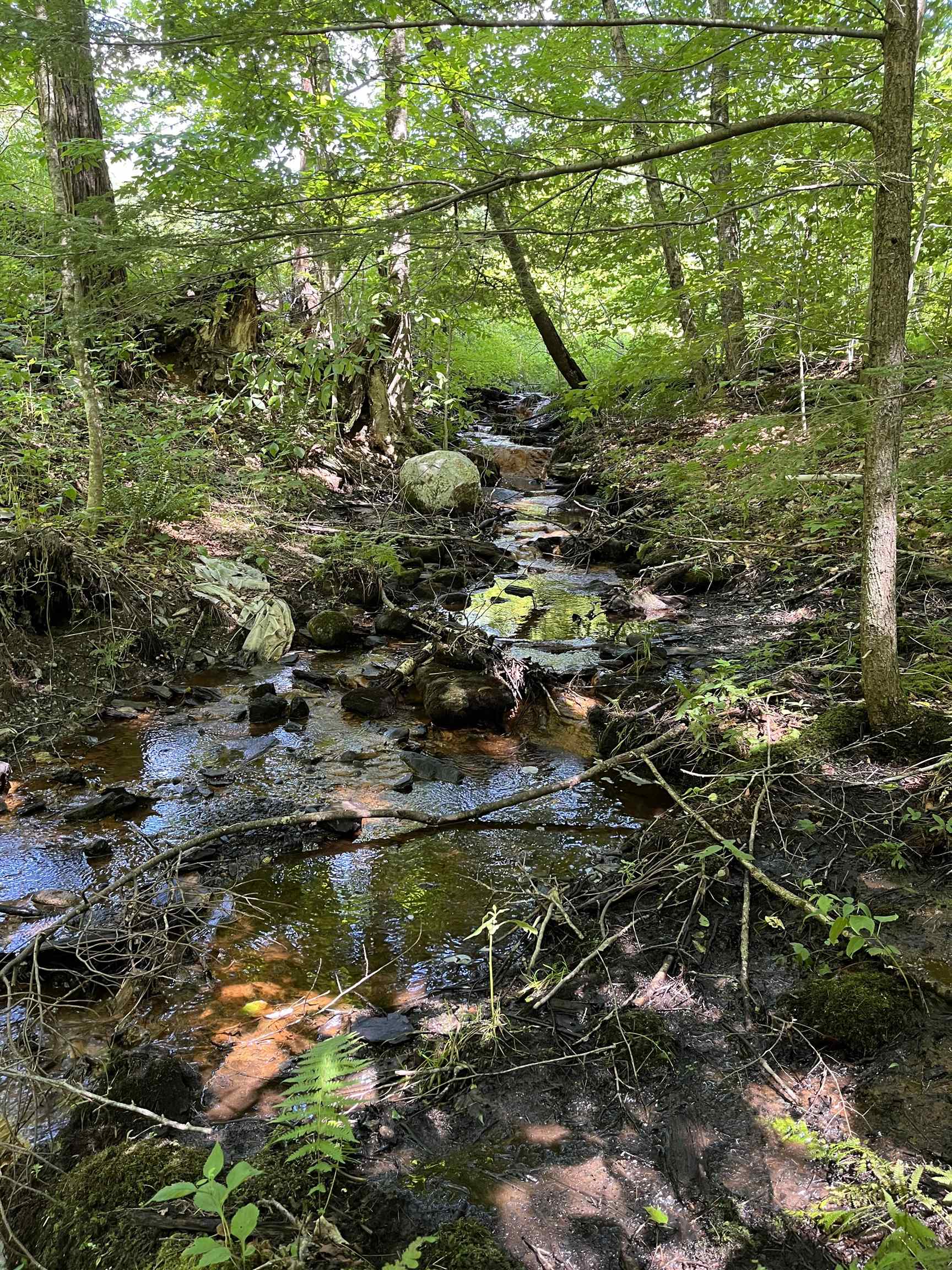 85 Woods Road Hubbardton, VT 05735 - Photo 24 of 36