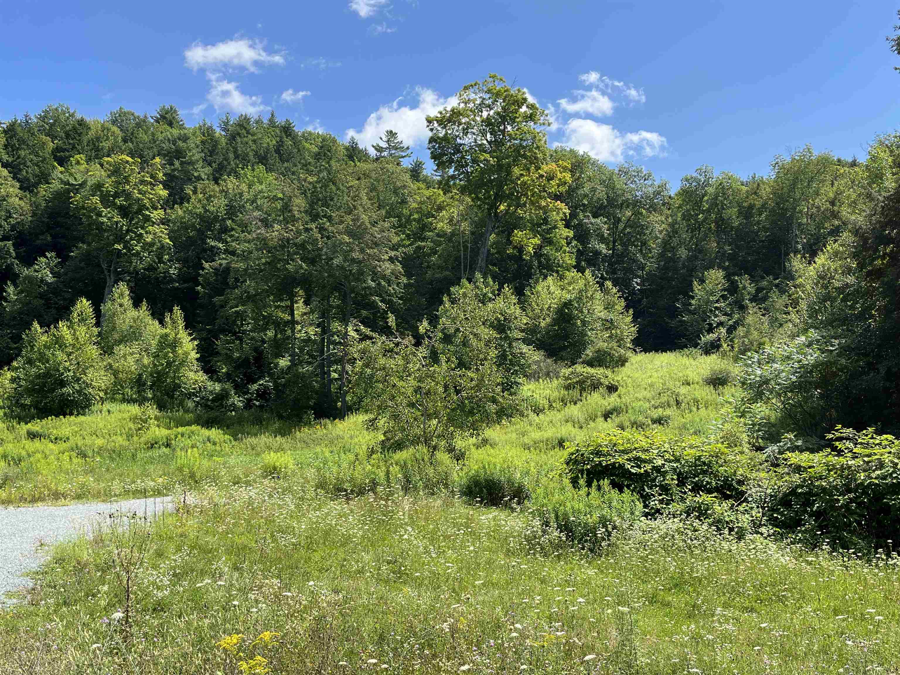 85 Woods Road Hubbardton, VT 05735 - Photo 28 of 36