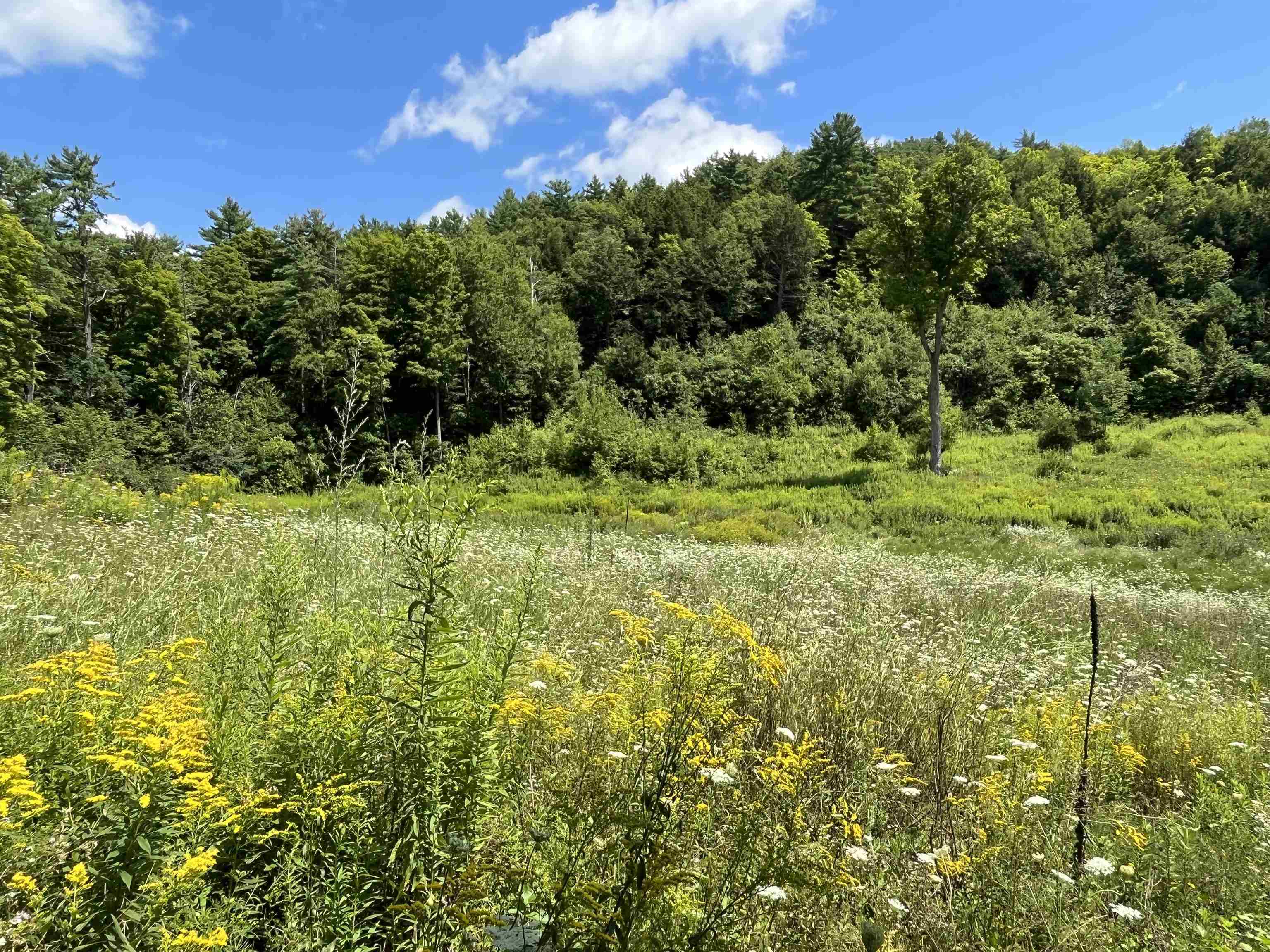 85 Woods Road Hubbardton, VT 05735 - Photo 29 of 36