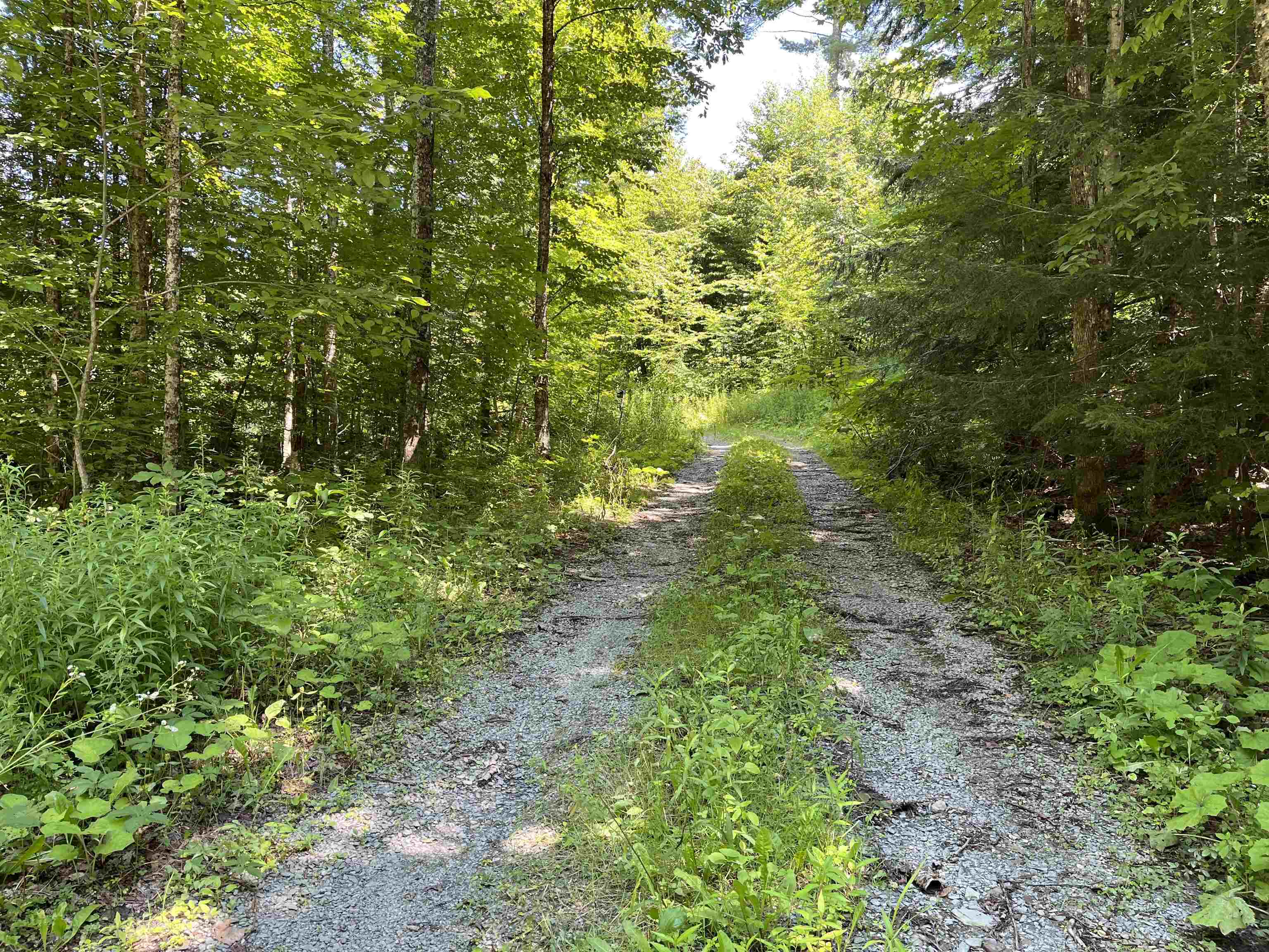 85 Woods Road Hubbardton, VT 05735 - Photo 4 of 36