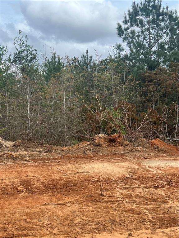 3 Scotts Path Bentley, LA 71407 - Photo 3 of 4