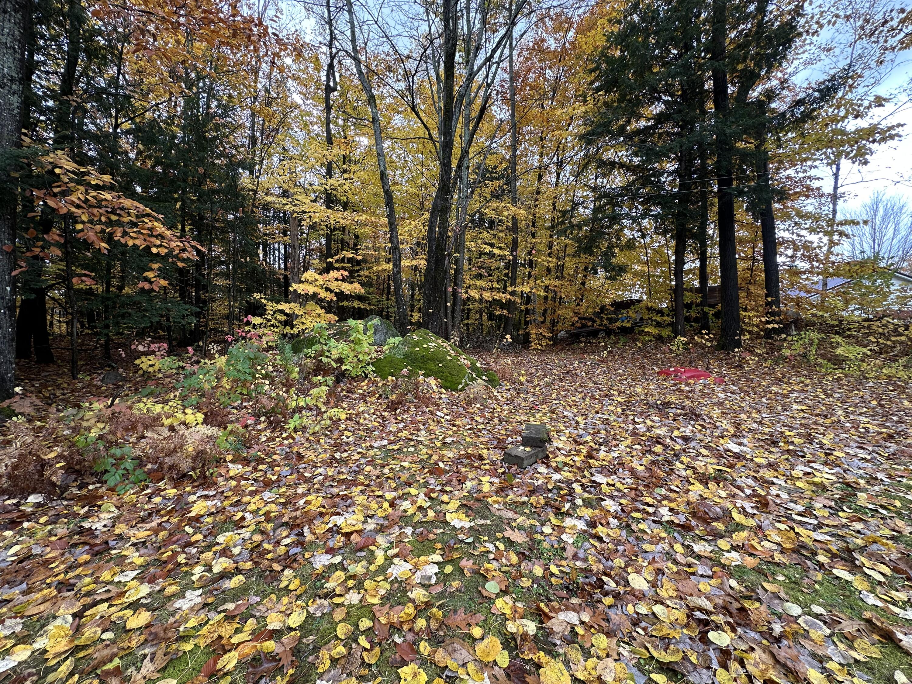 21 Ludden Drive Jay, ME 04239 - Photo 37 of 47 image4