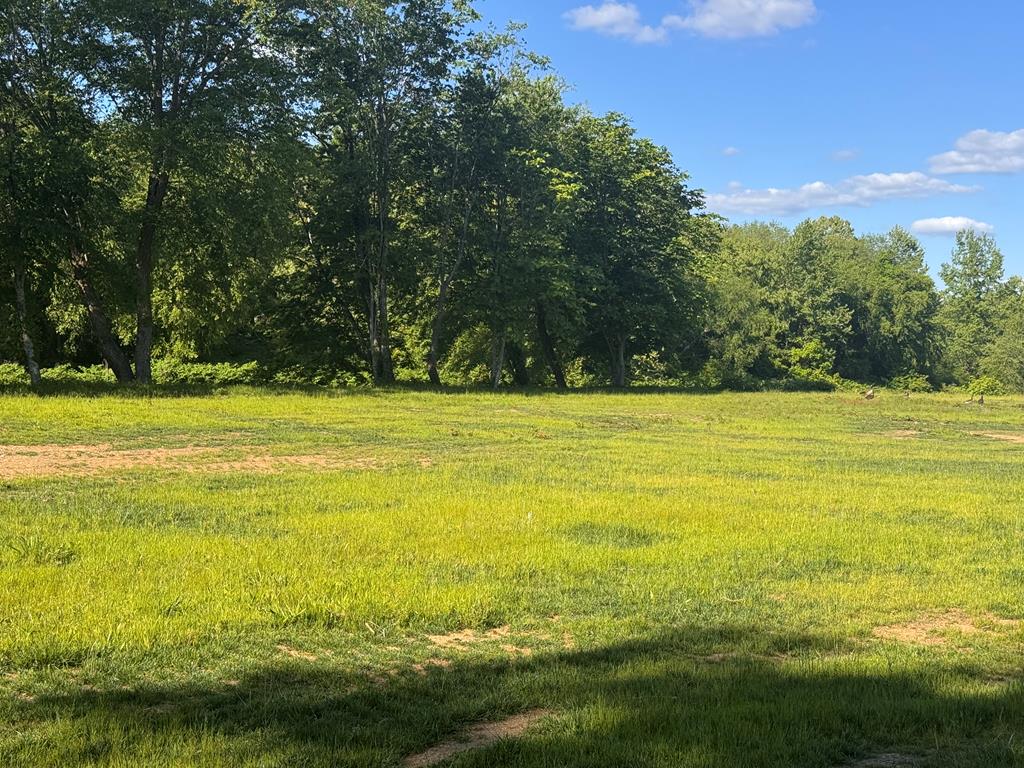1733 Grassy Creek Road Copperhill, TN 37317 - Photo 17 of 26 a view of an ocean with a trees in the background